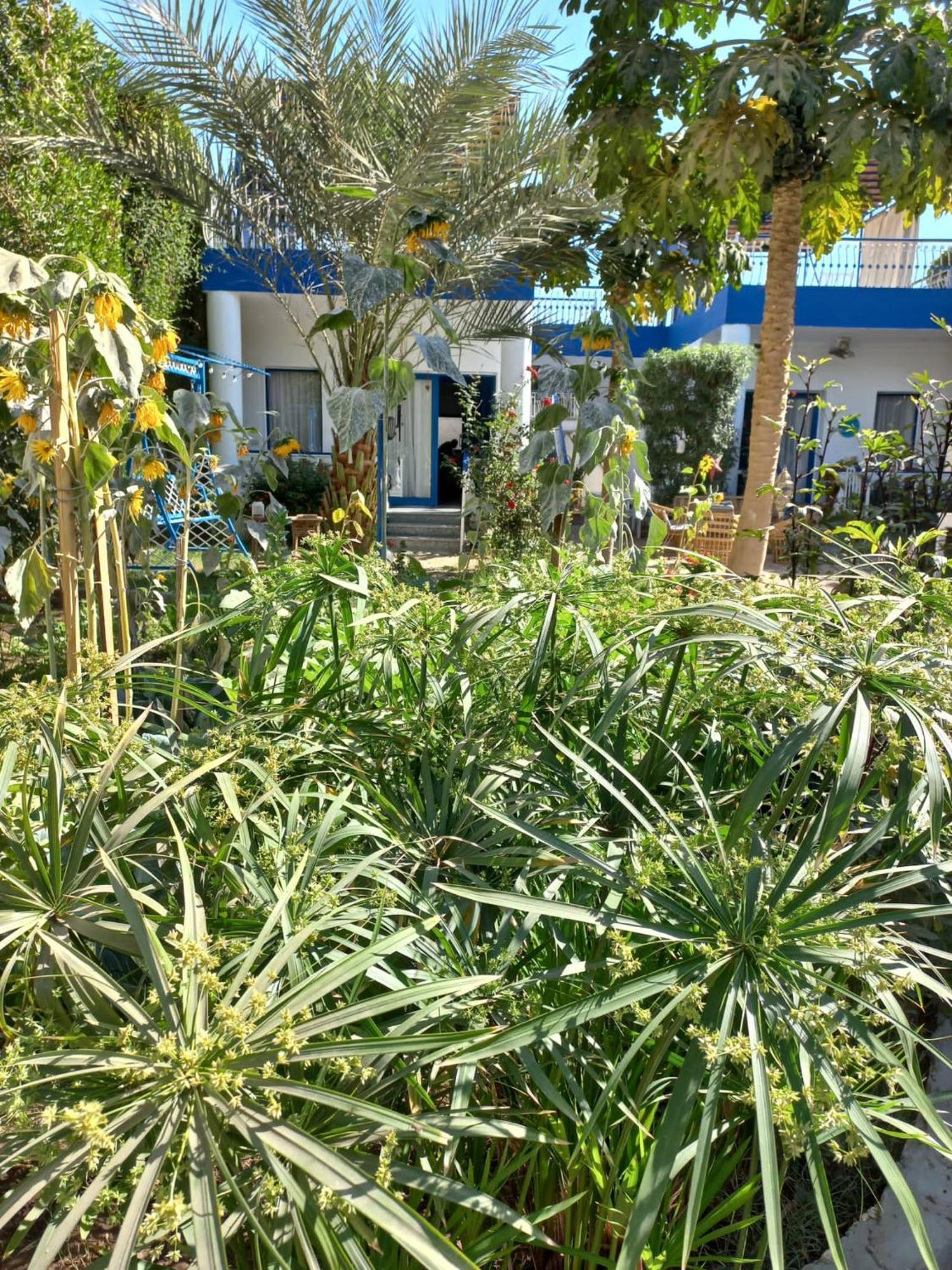 Villa Kaslan Apartments Luxor Exterior photo