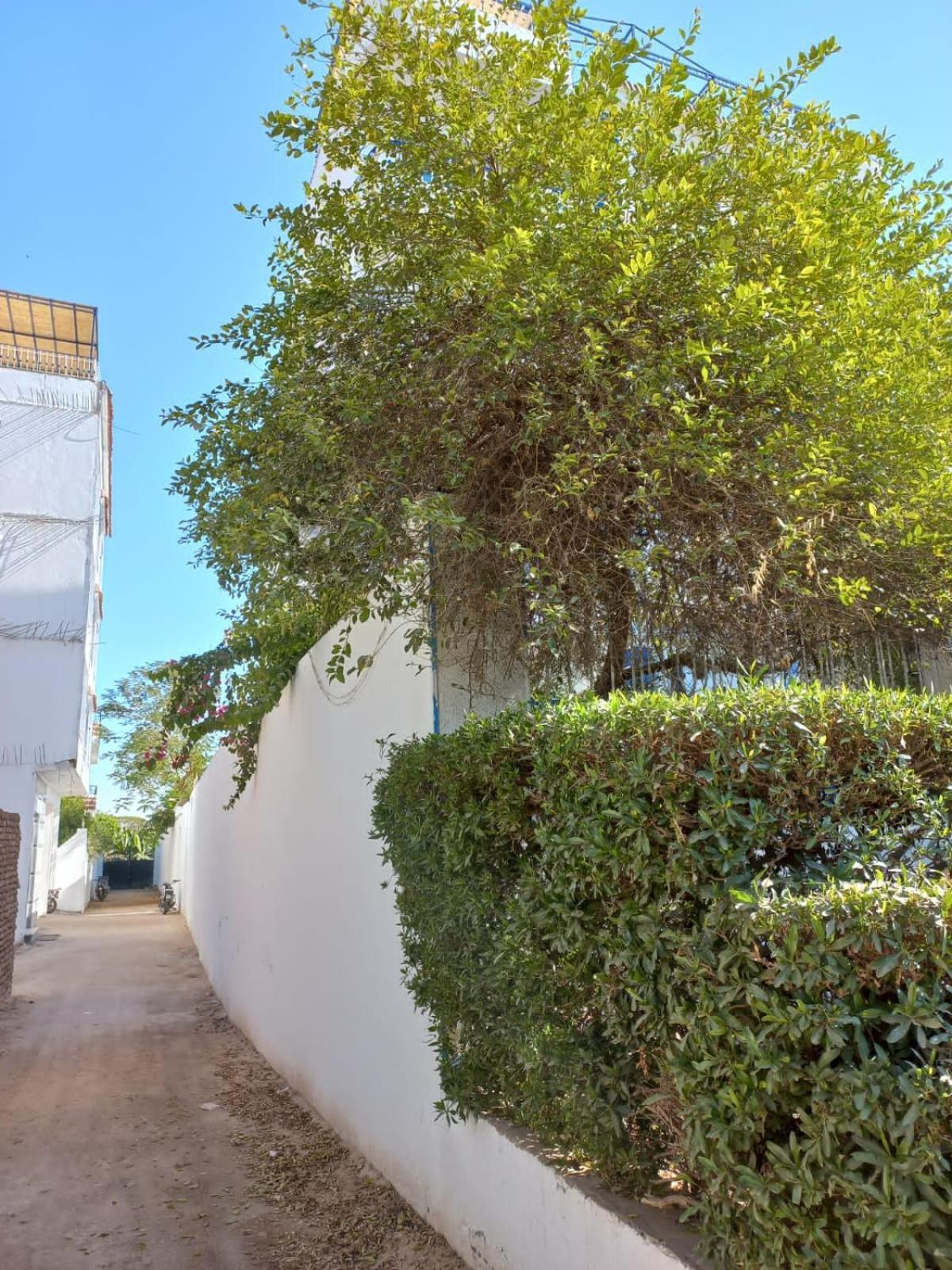 Villa Kaslan Apartments Luxor Exterior photo